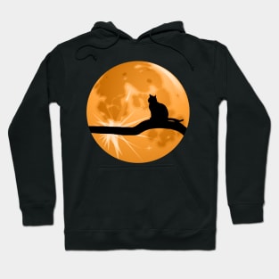 The Cat And The Moon Hoodie